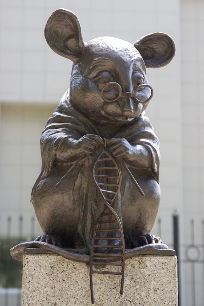 Bronze Laboratory Mouse Statue monument