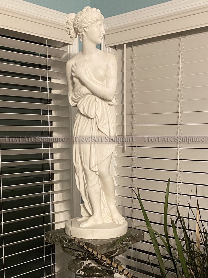 Marble Bathing Venus Statue feedback