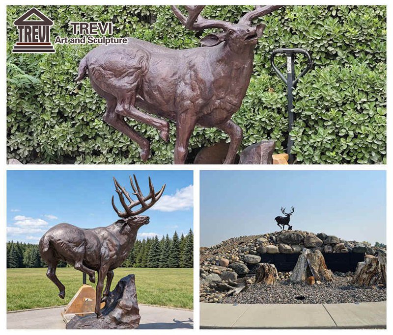 different bronze whitetail statue outdoor