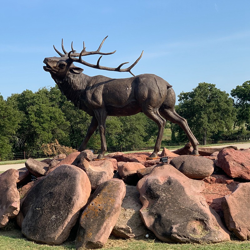 What Does the Elk Symbolize