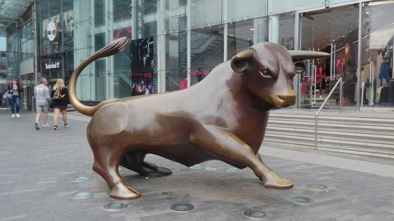Birmingham bull