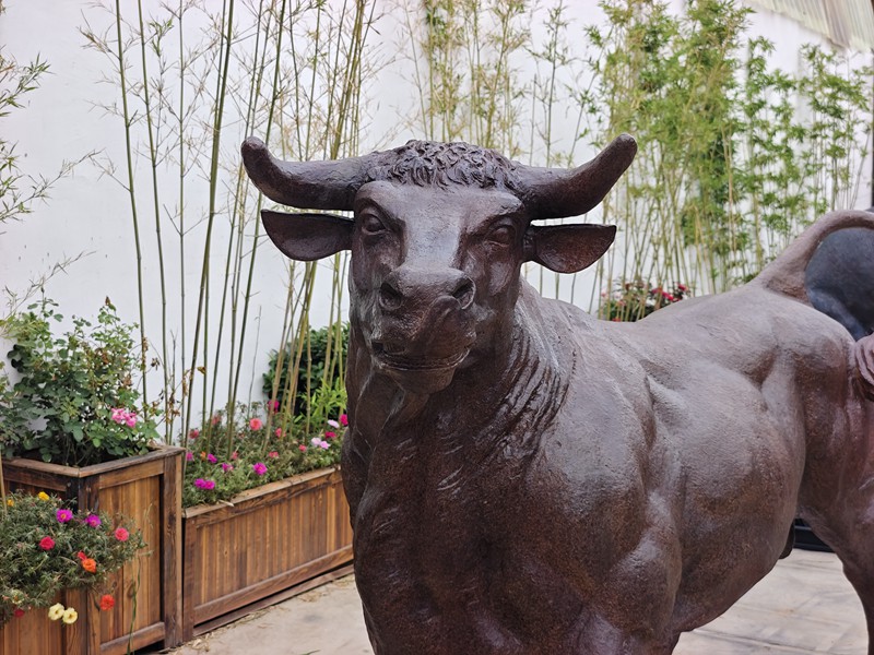 bronze Cow statue detail