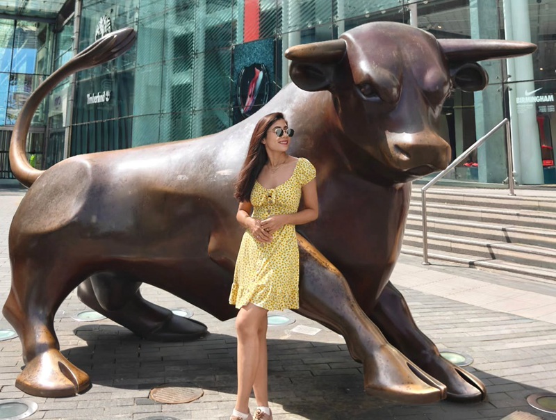 famous Birmingham bronze bull