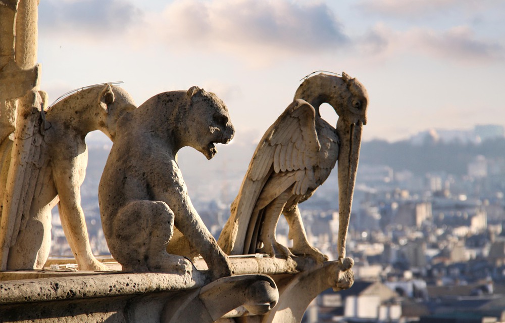 Close-up of Notre Dame Chimeras with Paris in Soft Focus