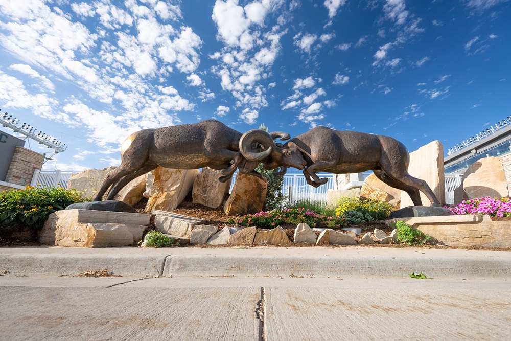 Ram Statues at Colorado State University