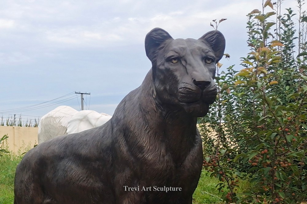 Wildlife Walking Lioness Statue details