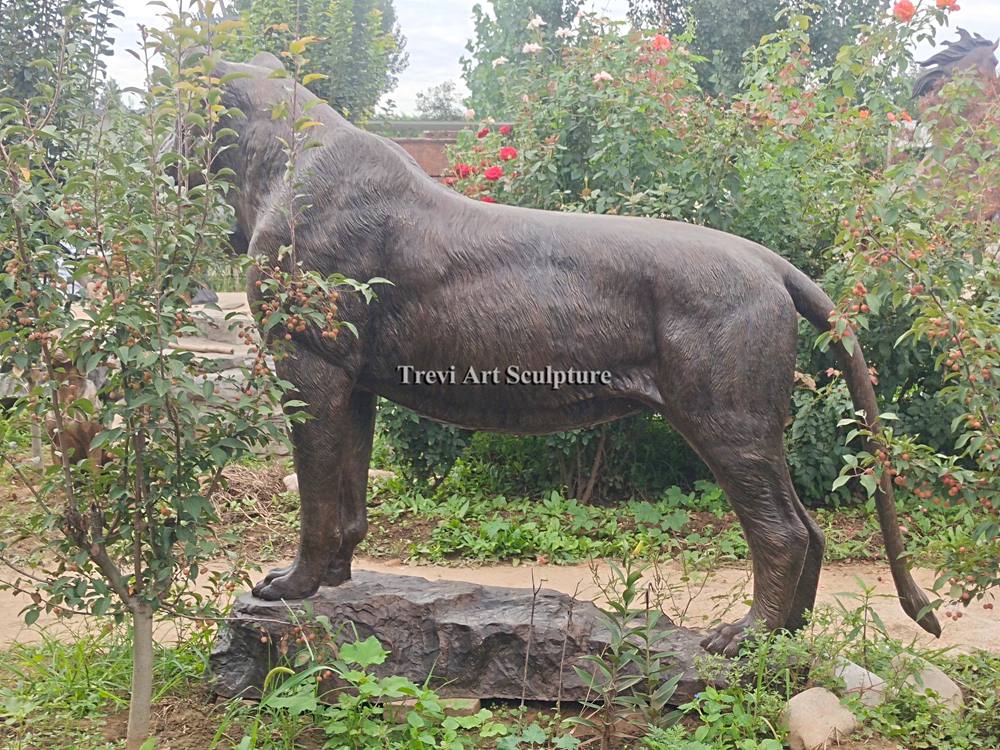 bronze Lioness Statue