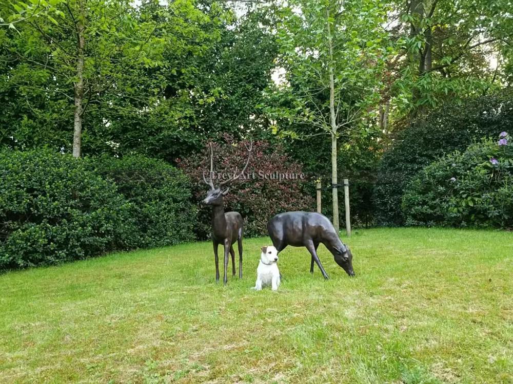 Feedback on the two bronze deer sculptures in Belgium