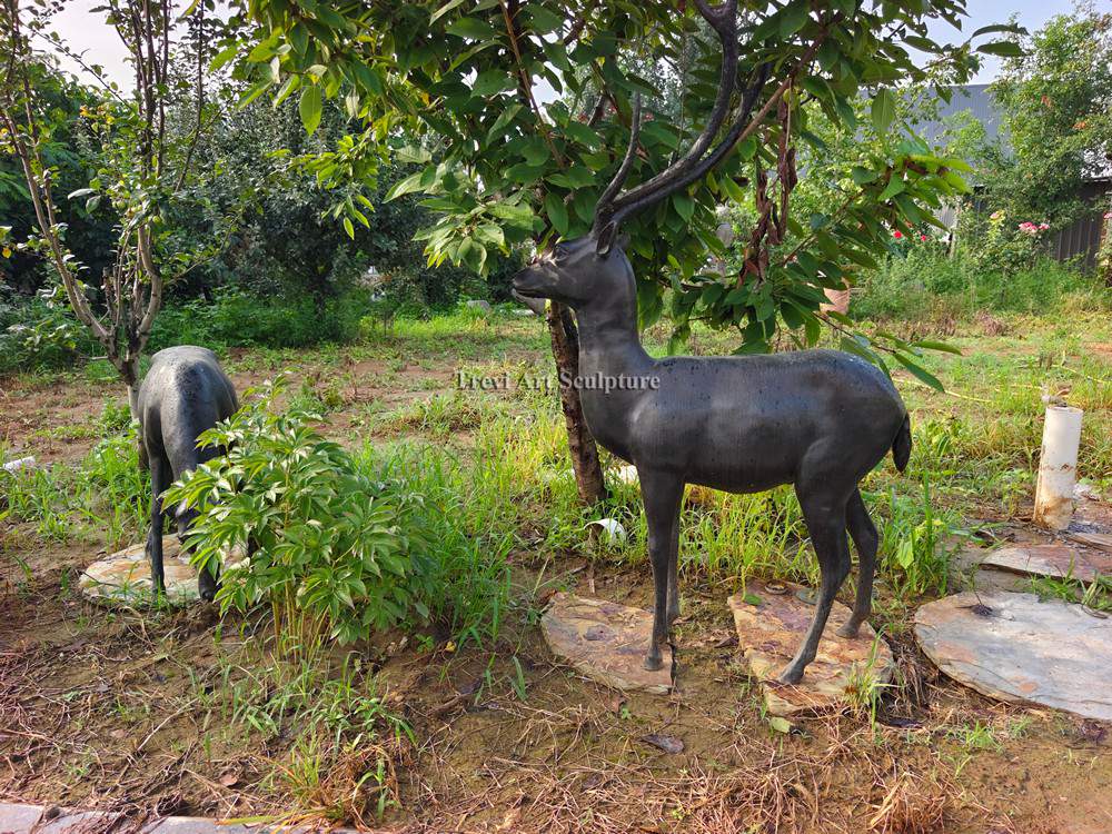 The bronze deer couple on the lawn