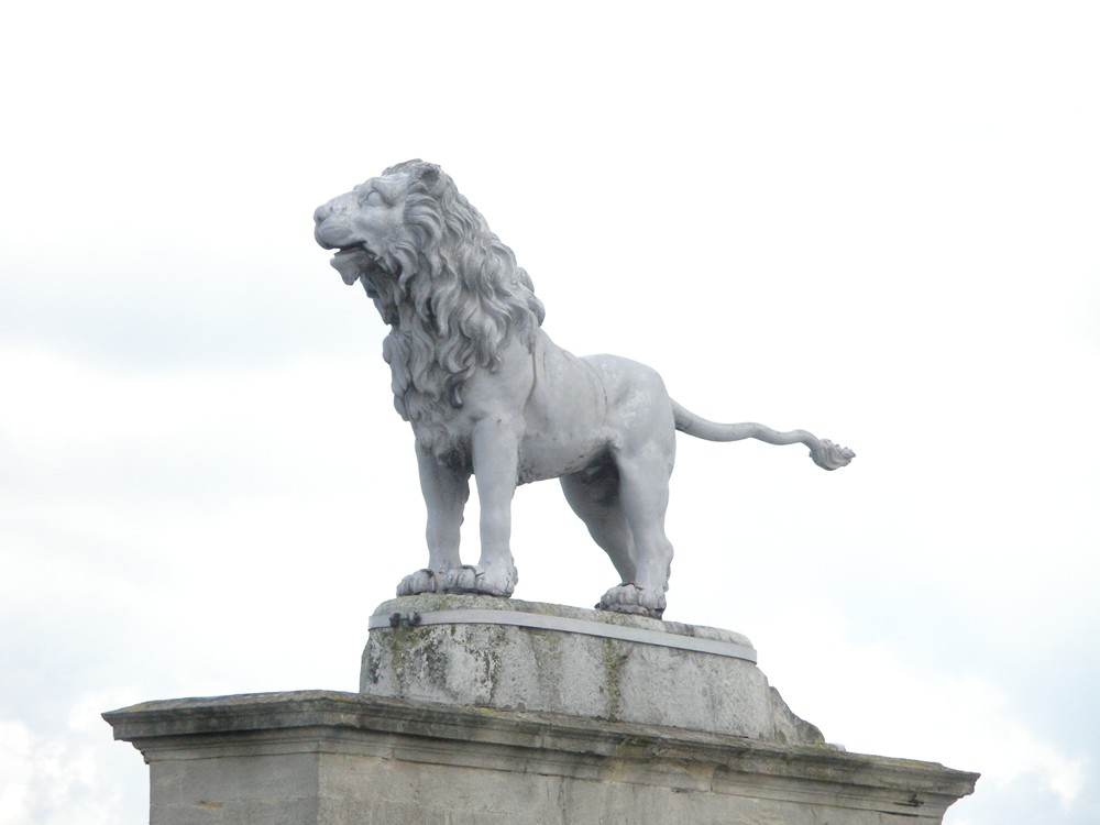 The Percy Lion