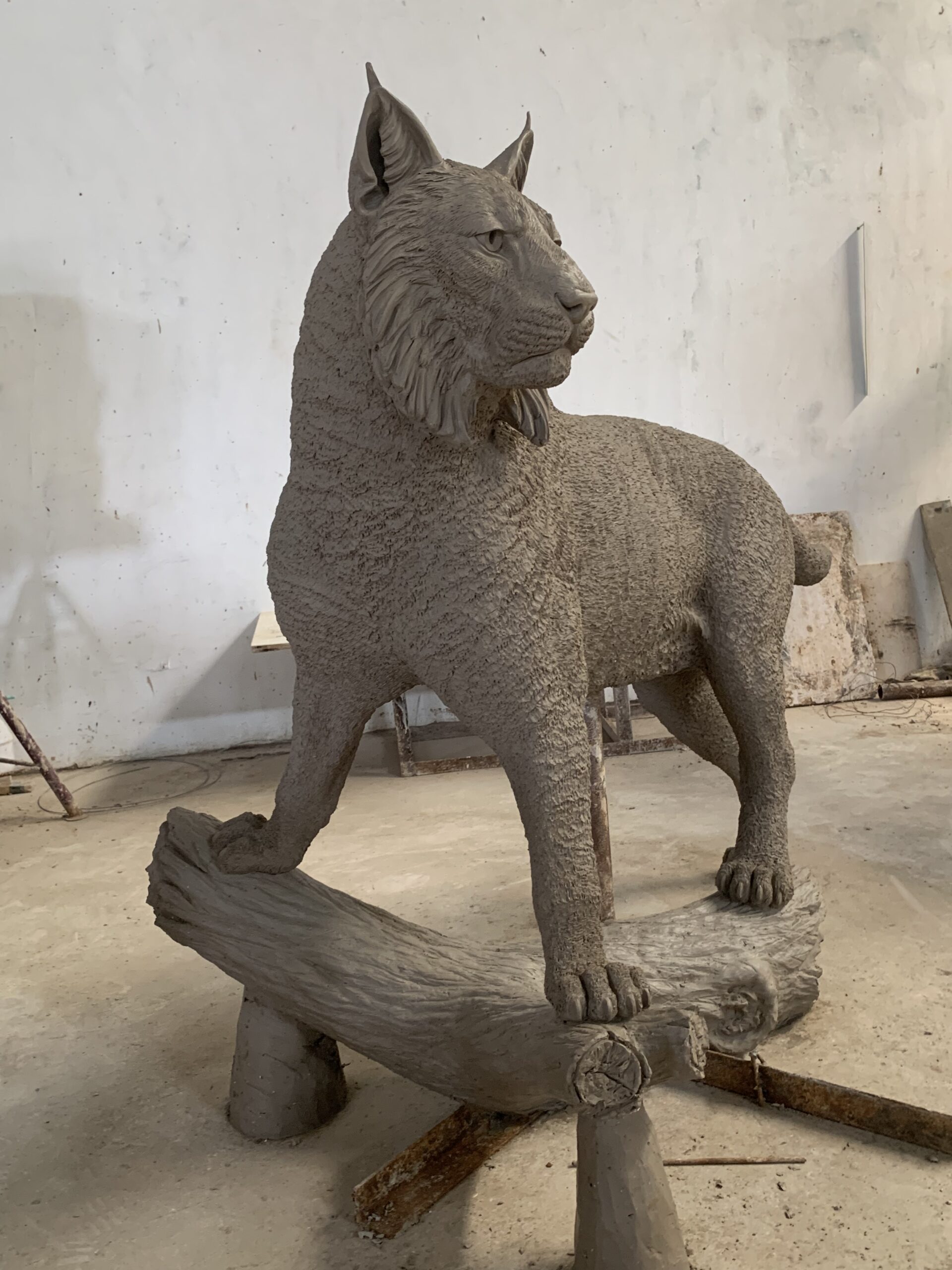 Majestic Bronze Bobcat Statue clay model
